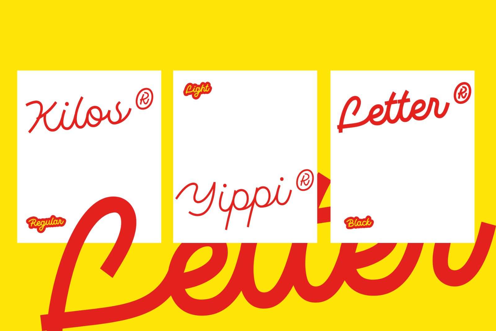 Monotail Script | Monoline Font Family — image 9