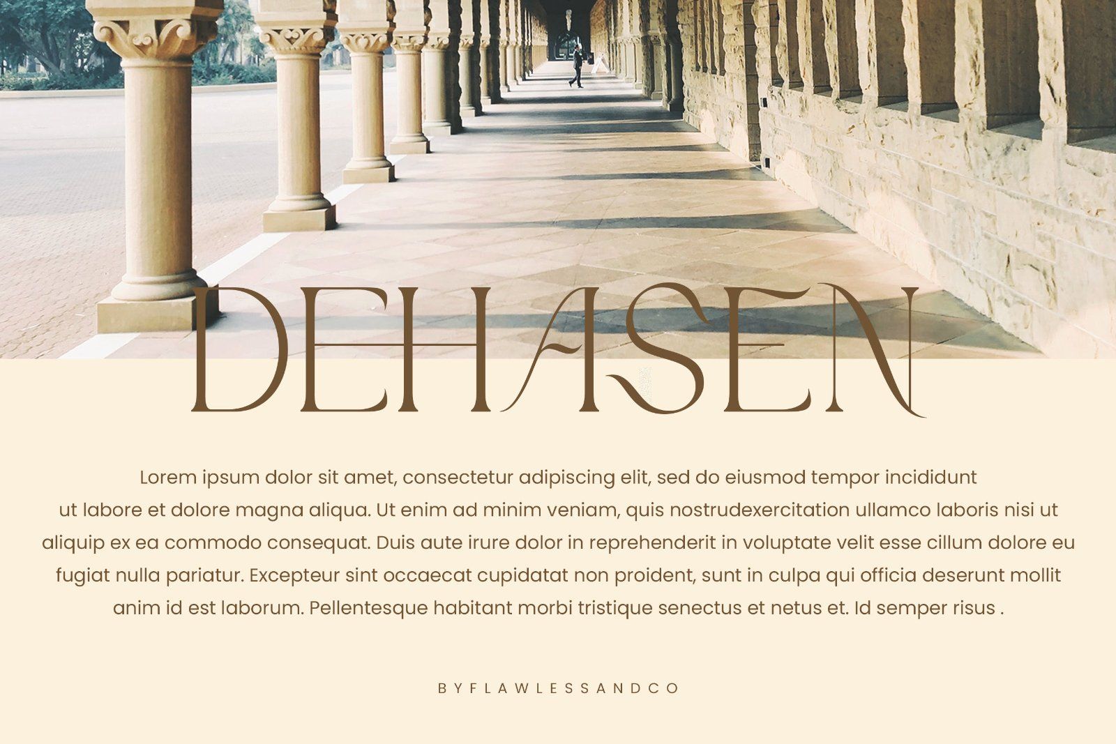 Chestra - Elegant Display Serif Font — image 5
