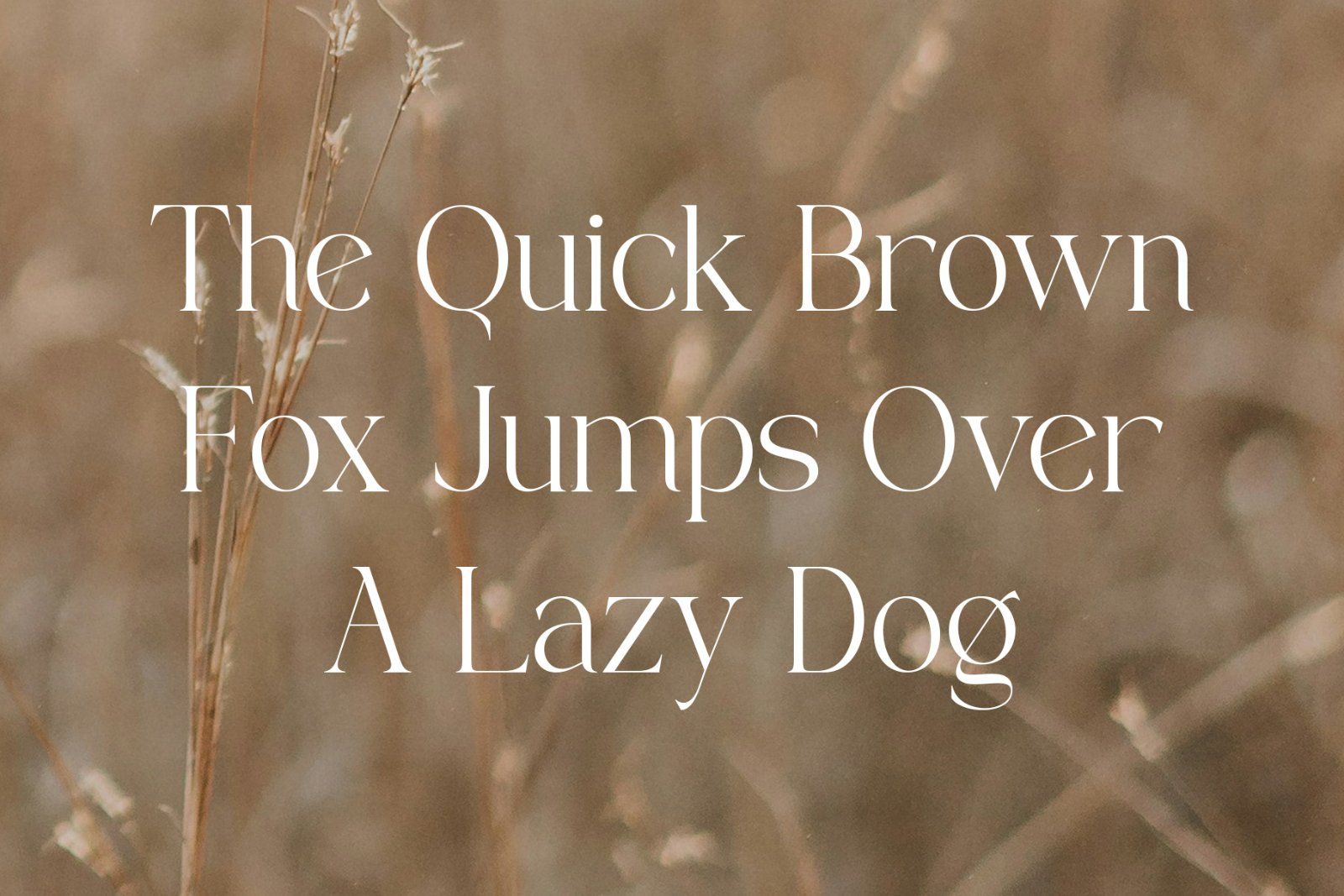 Galem | Elegant Serif