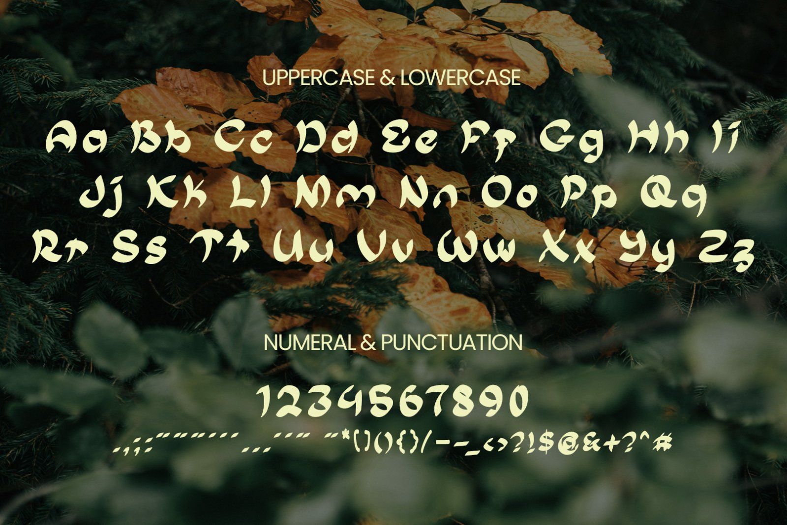Torumi Handwritten — image 9