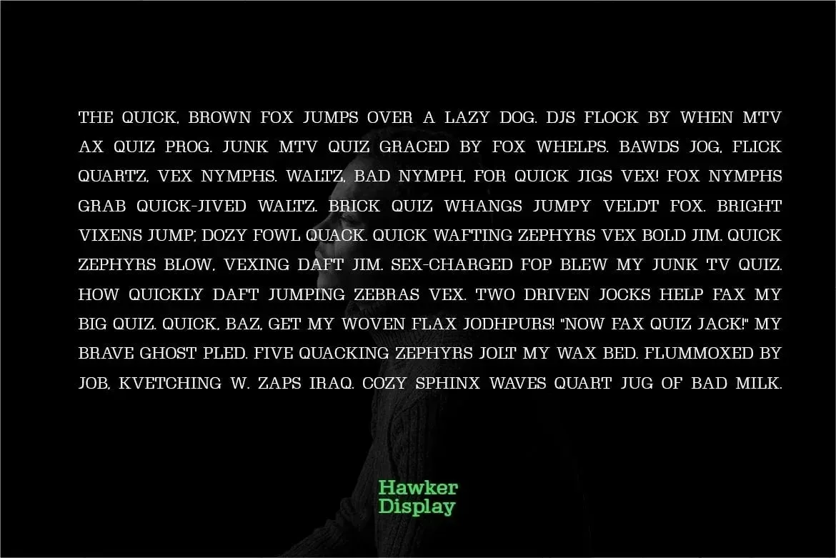 Hawker — image 3
