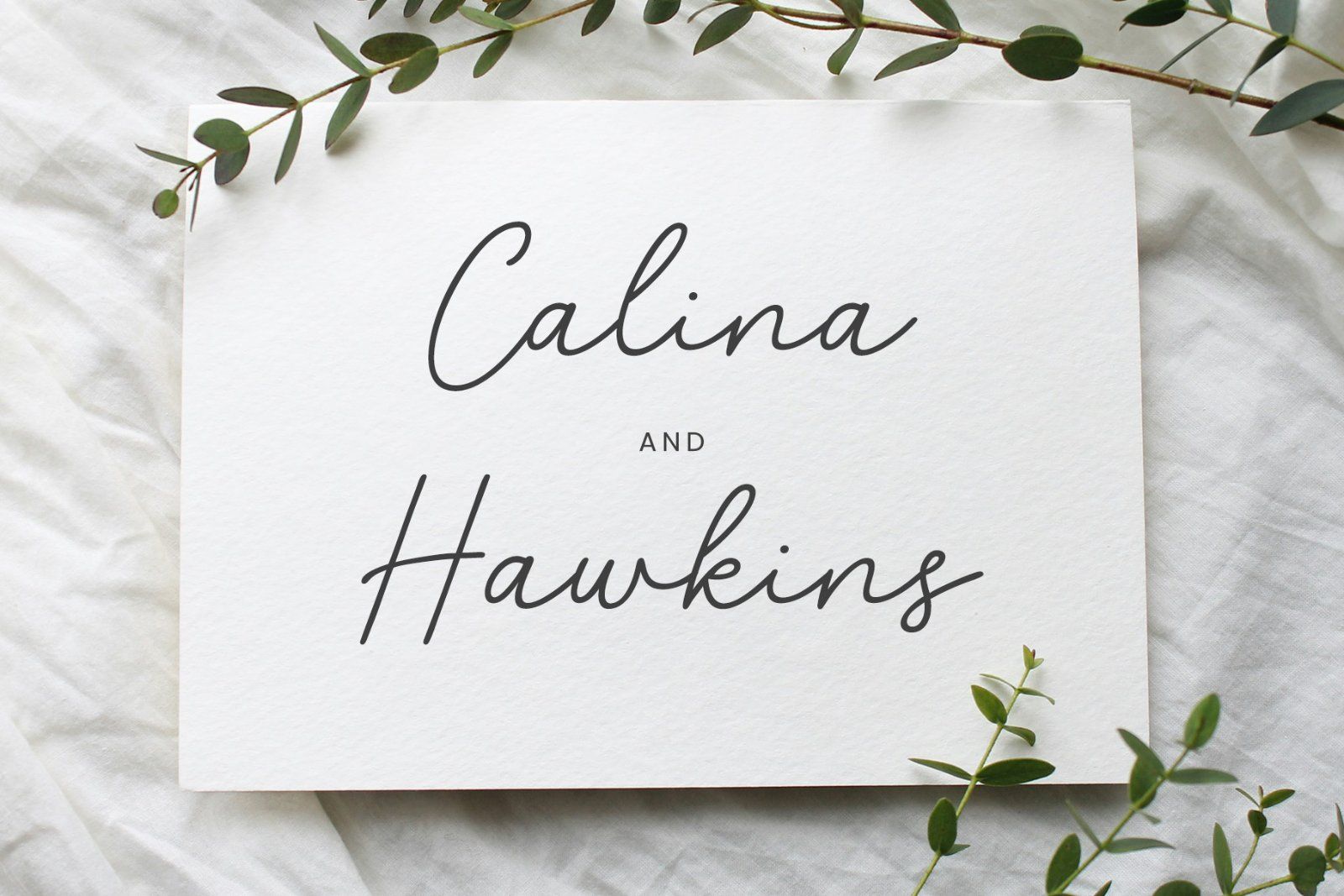 Modern Serif Font Bundle