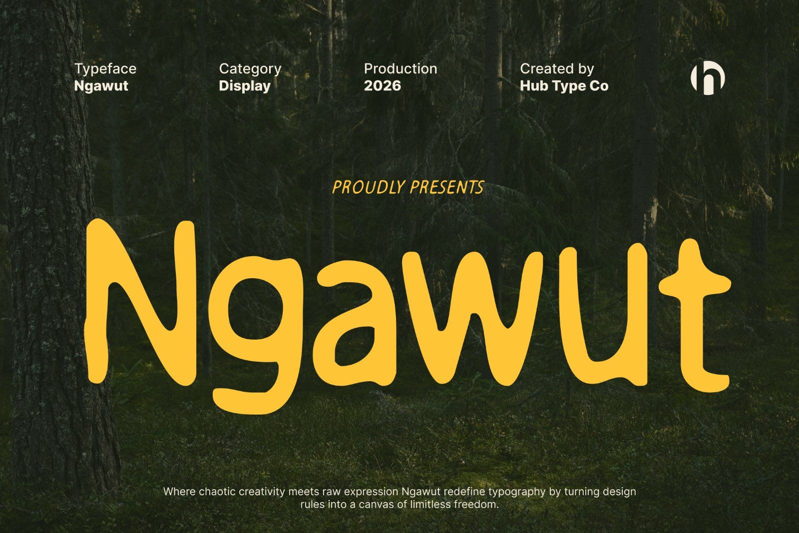 Ngawut – Organic & Expressionist Display Font — image 1