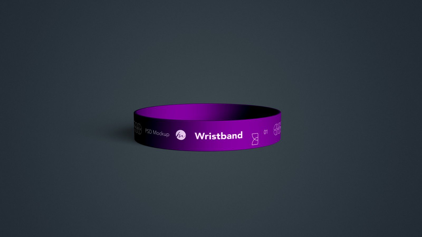 Silicone Wristband - 6 PSDs — image 2