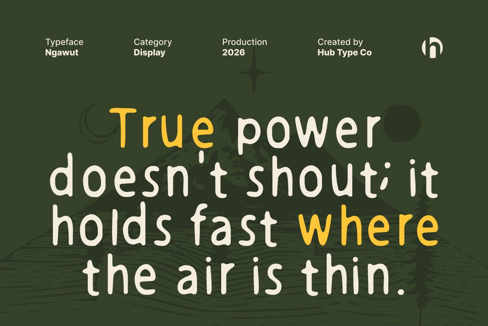 Ngawut – Organic & Expressionist Display Font — image 7