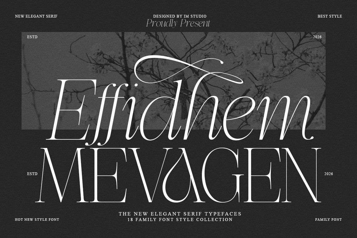 Effidhem Mevagen | 18 Font Files — image 1