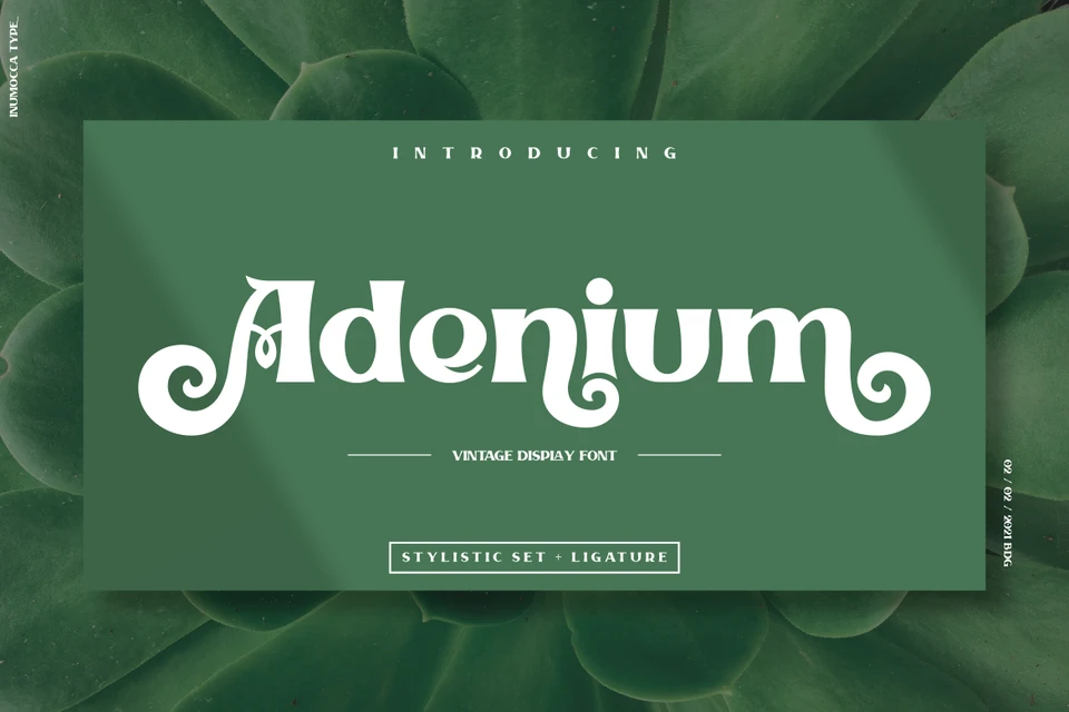 Adenium