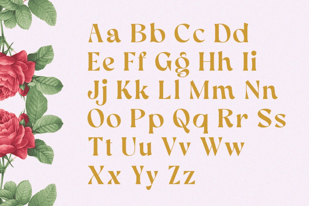 AEKIY KAGON — Elegant Luxury Bold Serif Font — image 14
