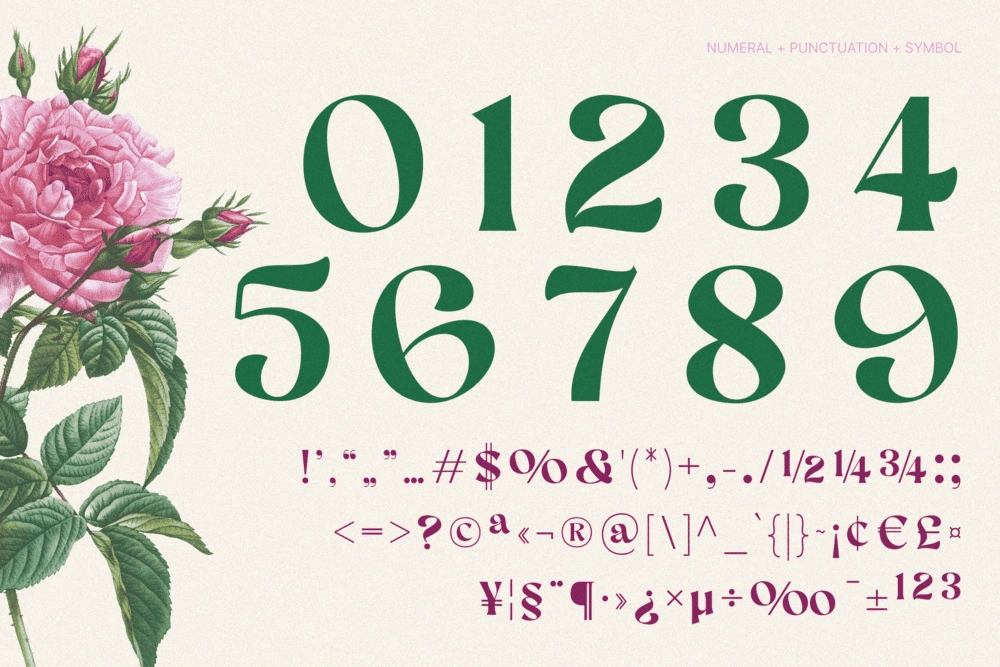 AEKIY KAGON — Elegant Luxury Bold Serif Font — image 15