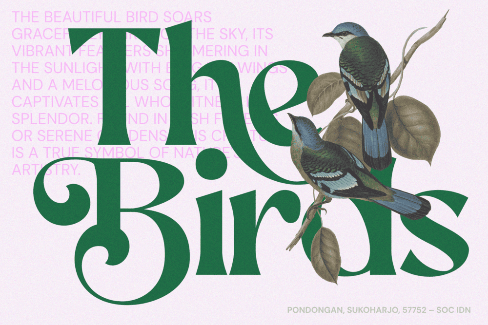 AEKIY KAGON — Elegant Luxury Bold Serif Font