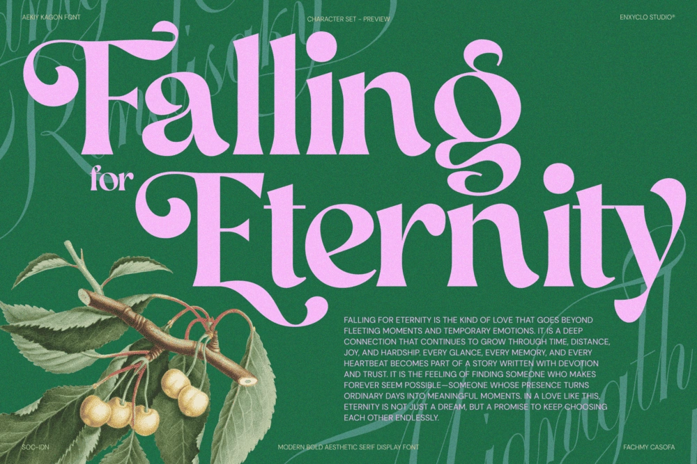 AEKIY KAGON — Elegant Luxury Bold Serif Font — image 6