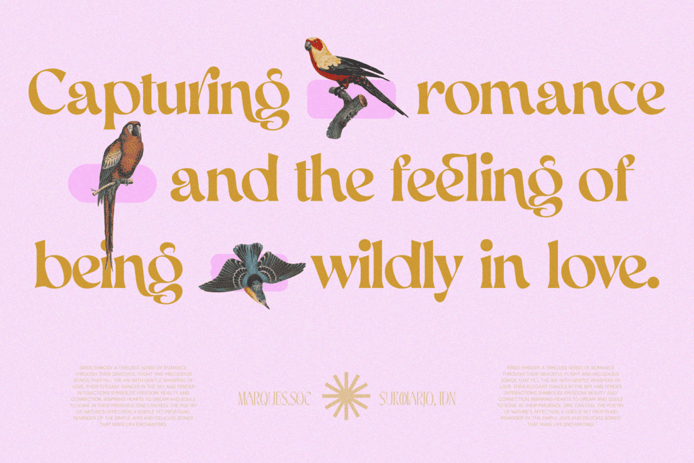 AEKIY KAGON — Elegant Luxury Bold Serif Font