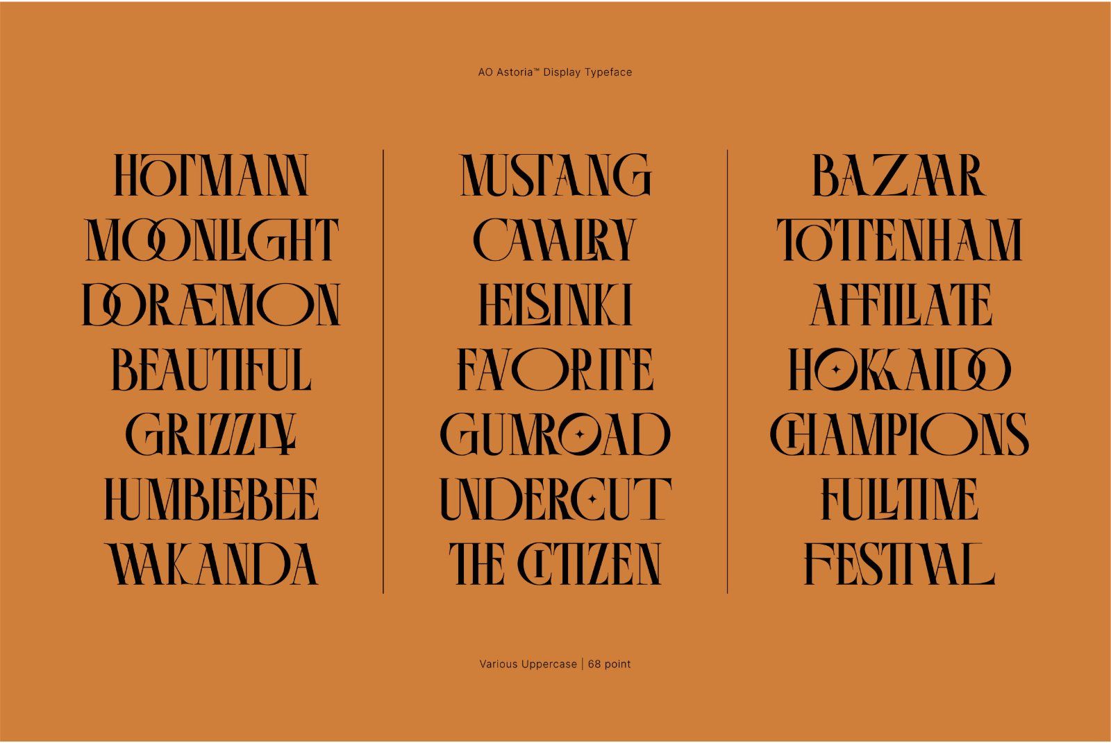 AO Astoria - High Contrast Serif — image 2
