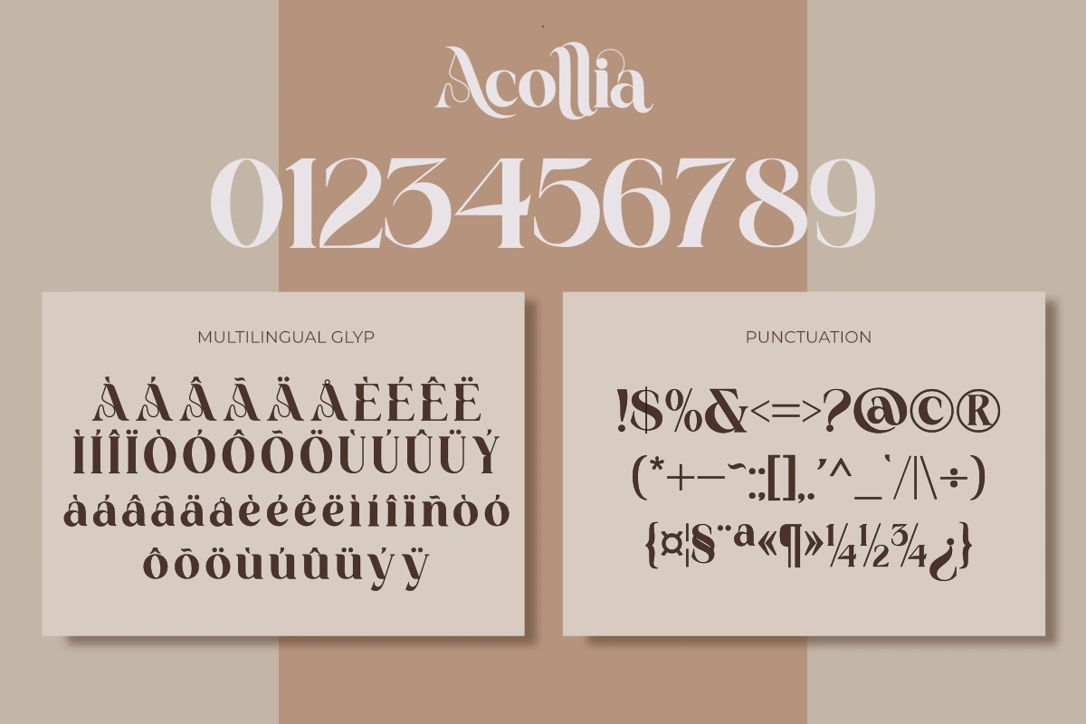 Acollia — image 6