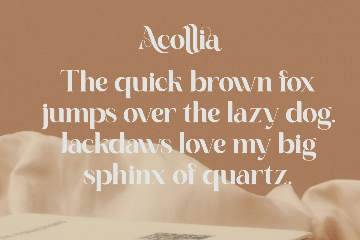 Acollia — image 9