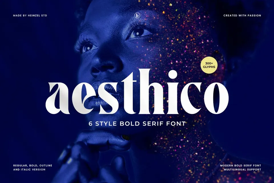 Aesthico Serif Font Family (6 Fonts)