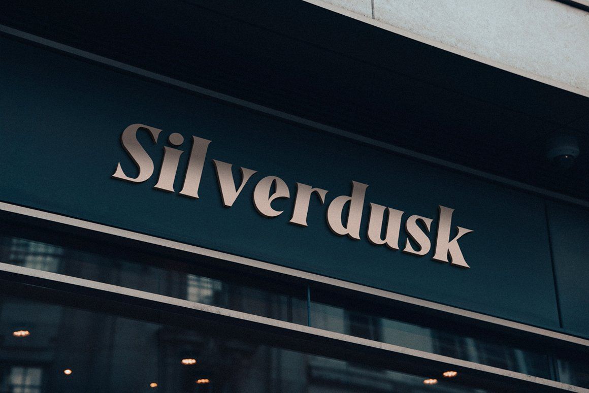 Aesthico Serif Font Family (6 Fonts) — image 11