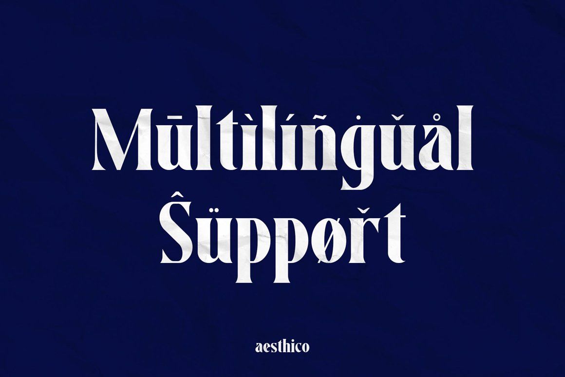 Aesthico Serif Font Family (6 Fonts) — image 13