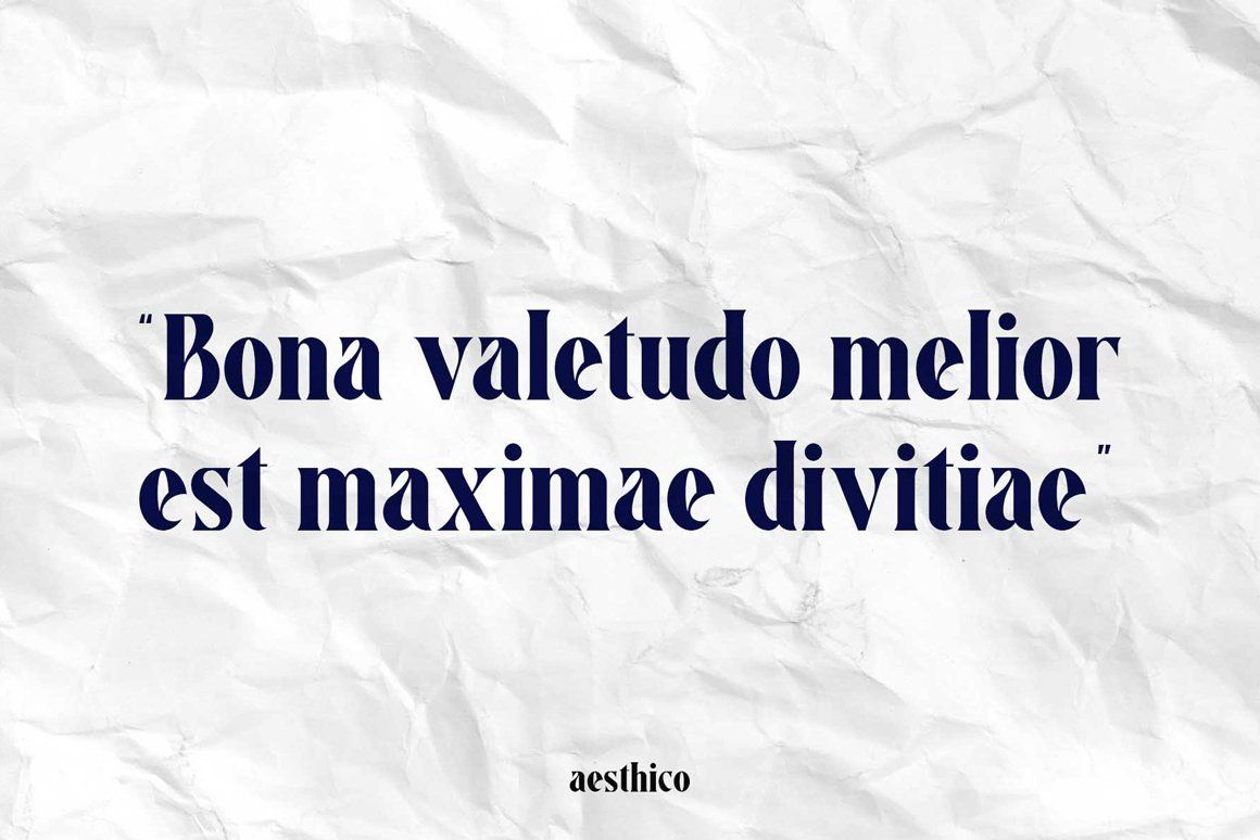 Aesthico Serif Font Family (6 Fonts) — image 17