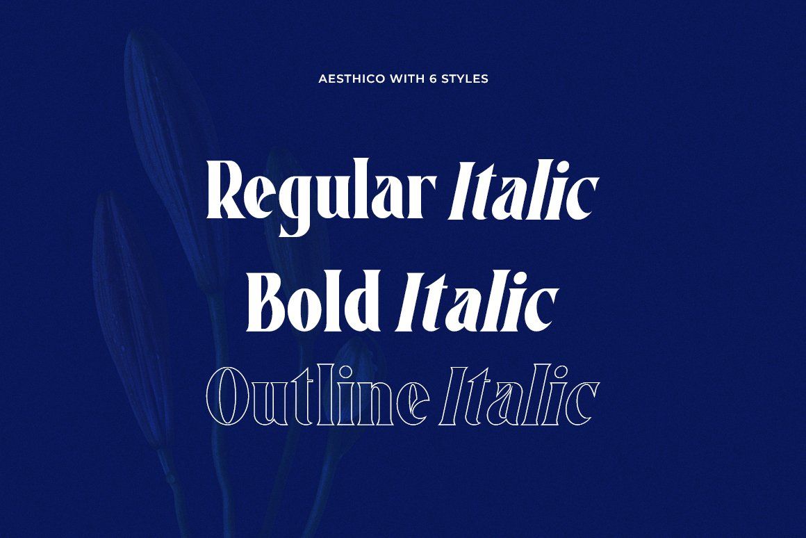 Aesthico Serif Font Family (6 Fonts) — image 18