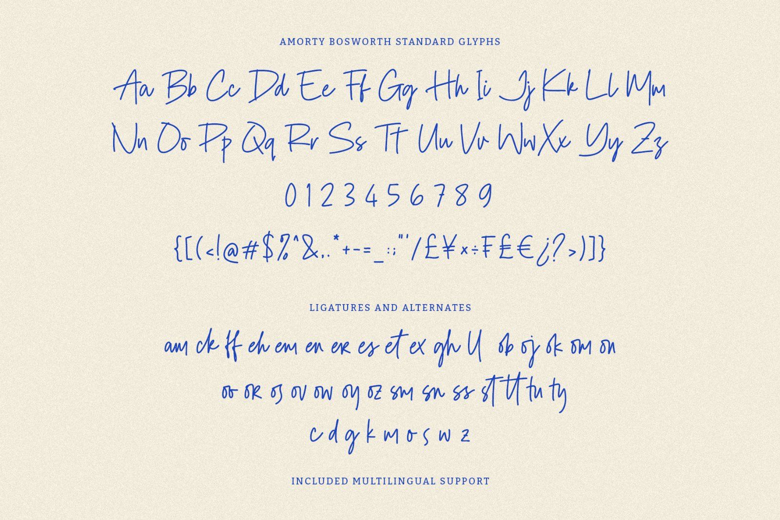 Amorty Bosworth Signature Script Font — image 6