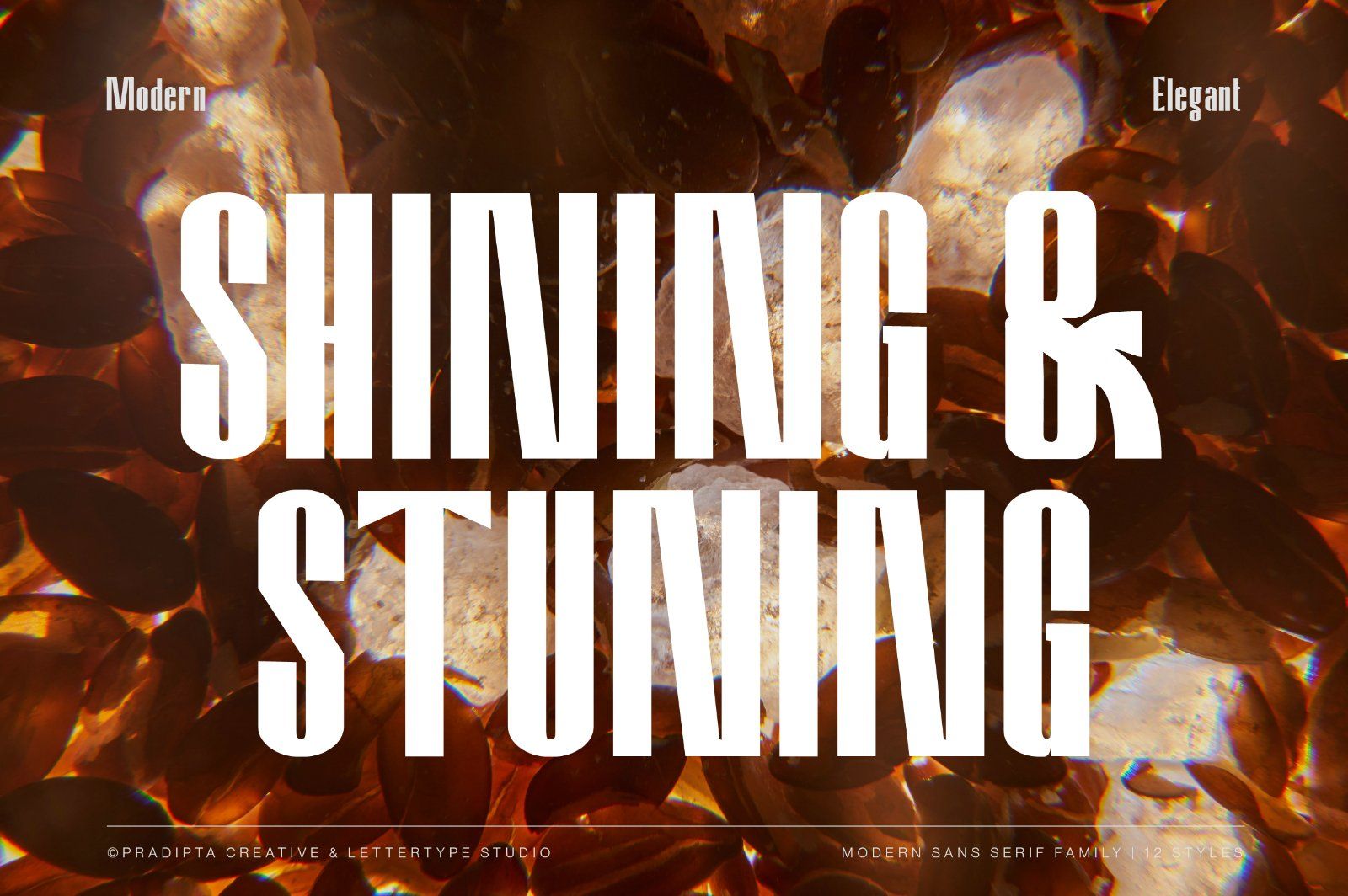 Amvergo Modern & Elegant Sans Serif Family — image 2