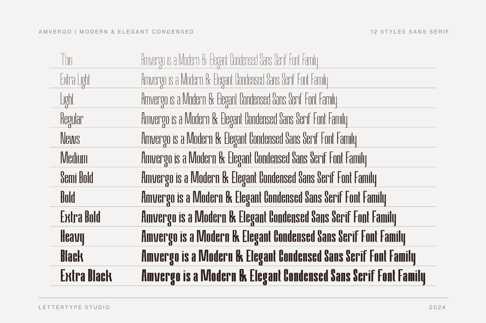 Amvergo Modern & Elegant Sans Serif Family — image 3