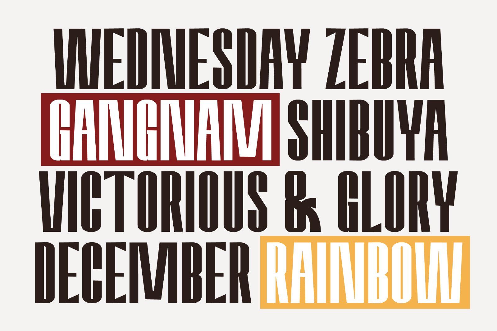 Amvergo Modern & Elegant Sans Serif Family — image 9