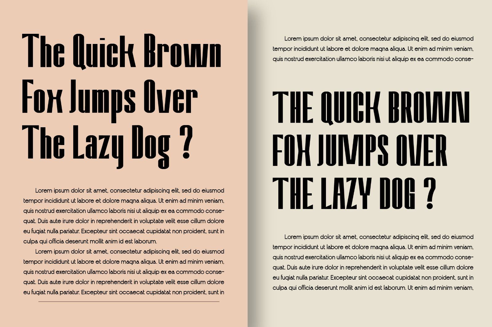 Amvergo Modern & Elegant Sans Serif Family — image 14
