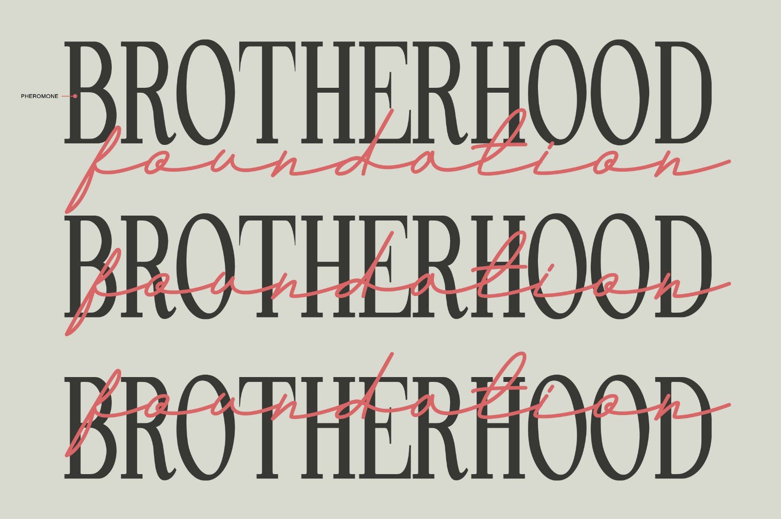 Andalusia a Beautiful Script Font — image 4
