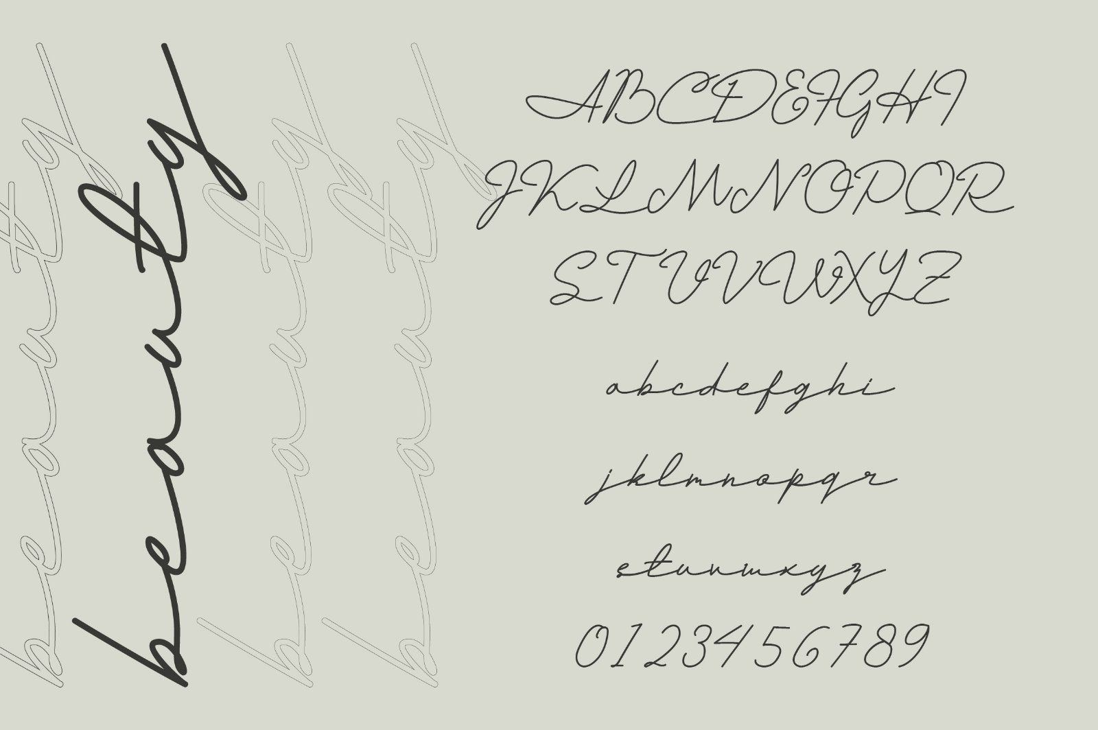 Andalusia a Beautiful Script Font — image 6