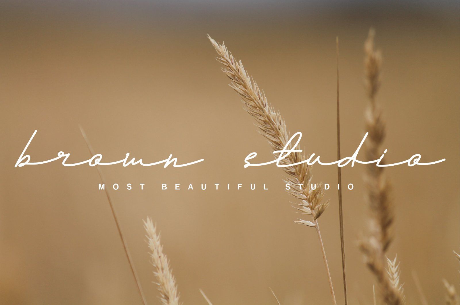 Andalusia a Beautiful Script Font — image 13