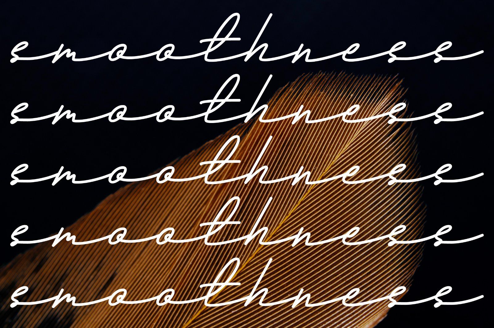 Andalusia a Beautiful Script Font — image 16