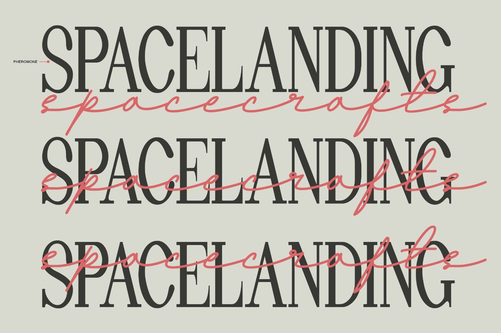 Andalusia a Beautiful Script Font — image 19