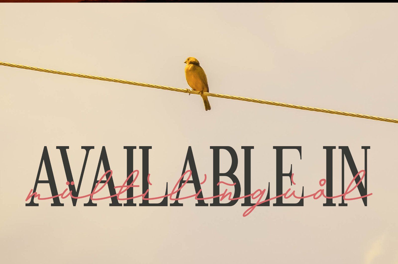 Andalusia a Beautiful Script Font — image 20