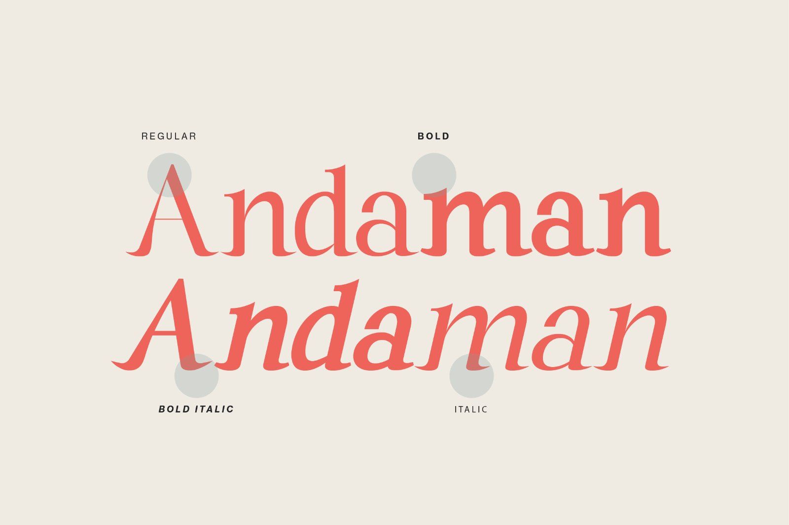 Andaman an Experimental Serif Font — image 2