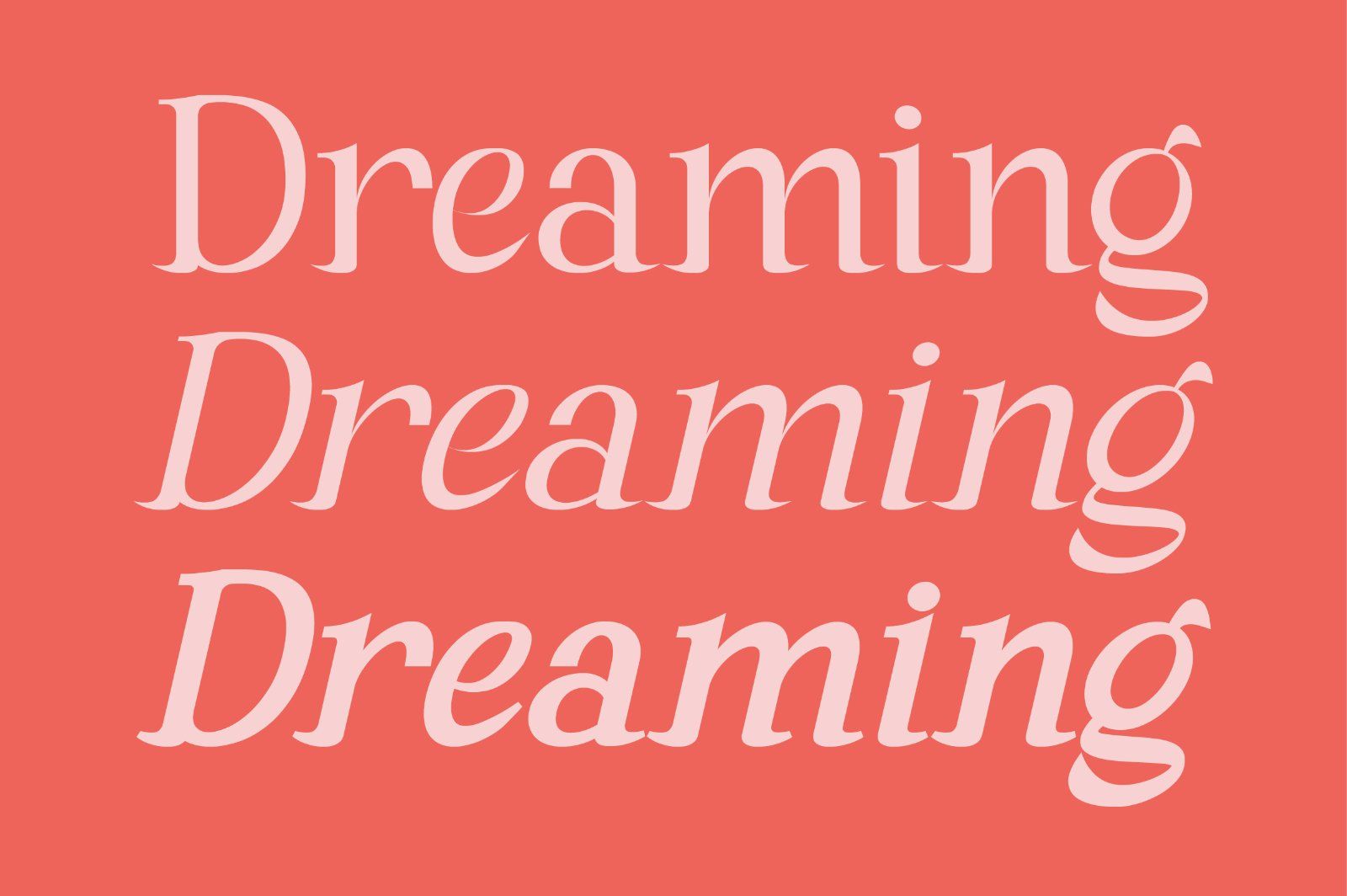 Andaman an Experimental Serif Font — image 3