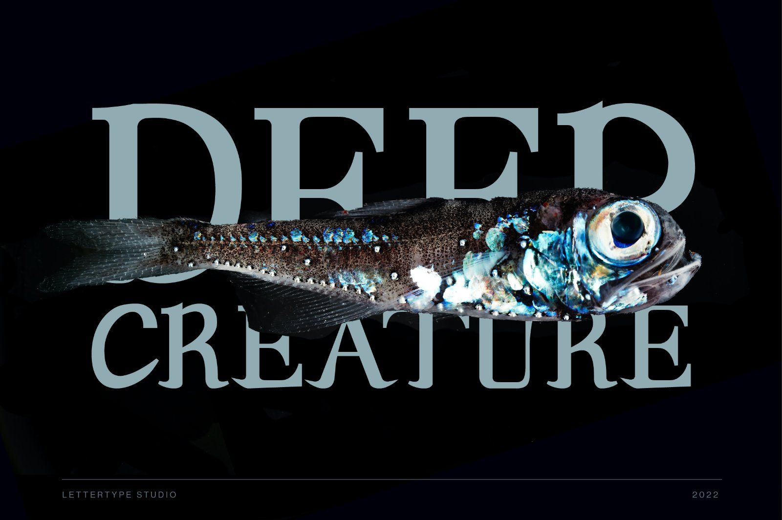 Andaman an Experimental Serif Font — image 7
