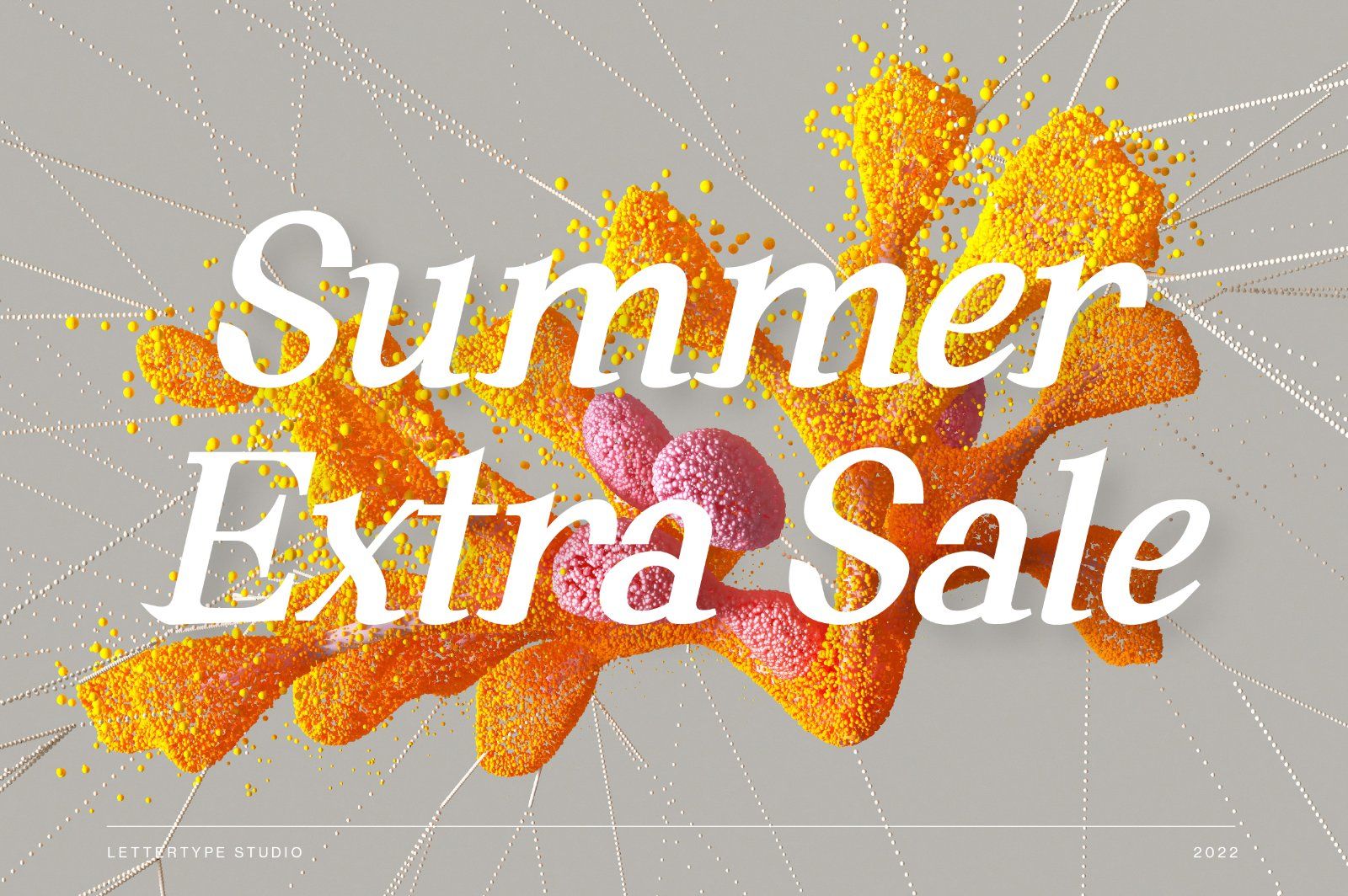 Andaman an Experimental Serif Font — image 12