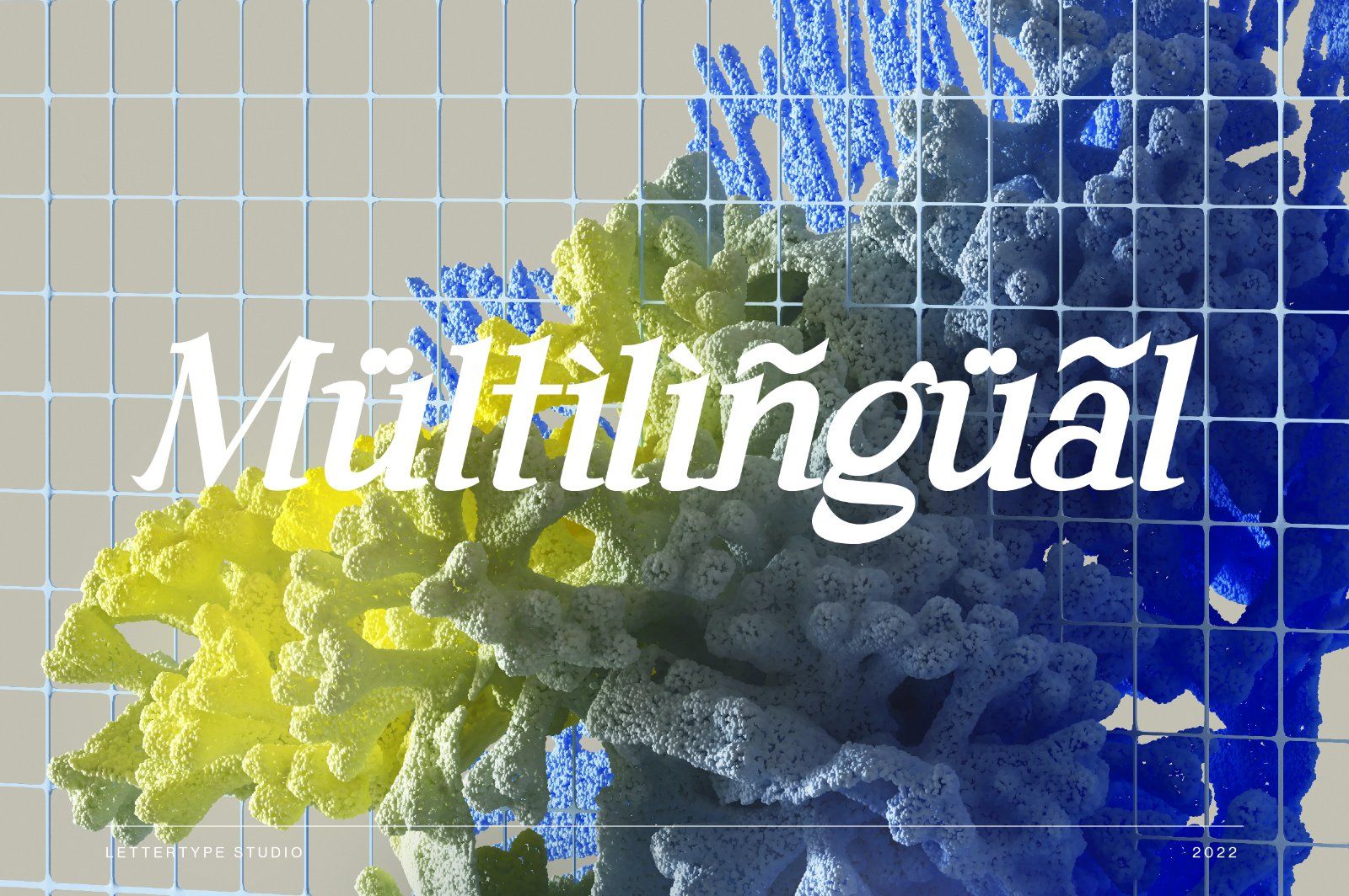 Andaman an Experimental Serif Font — image 14