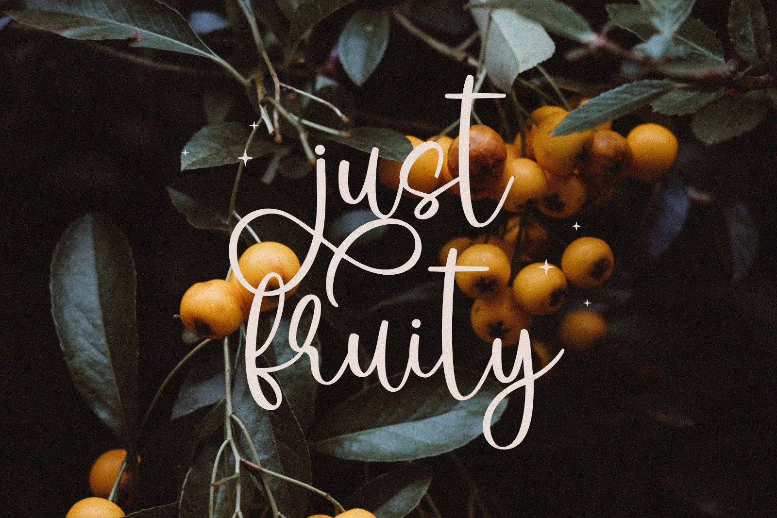 Hello Angela - Beautiful Script Font — image 6