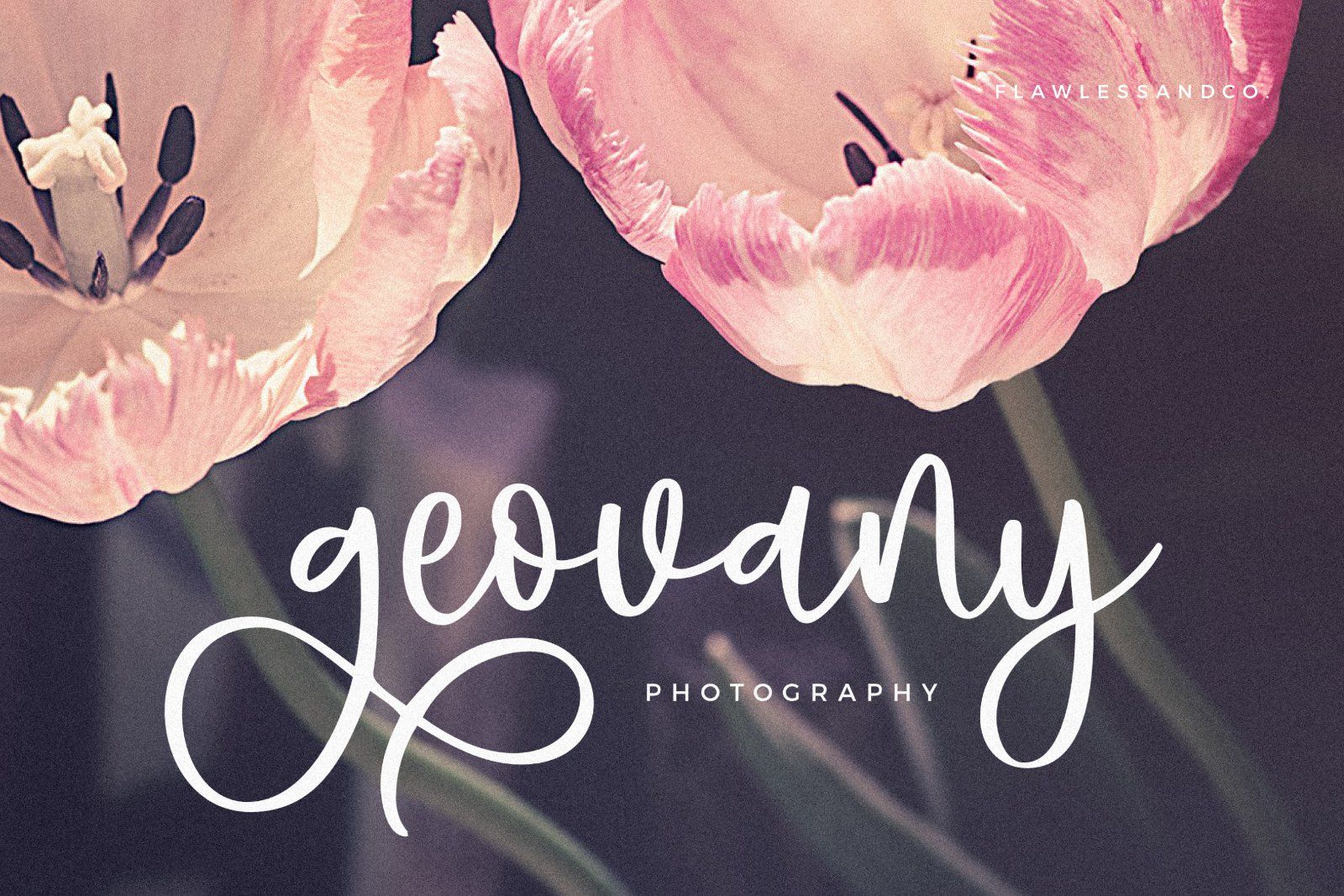 Hello Angela - Beautiful Script Font — image 2