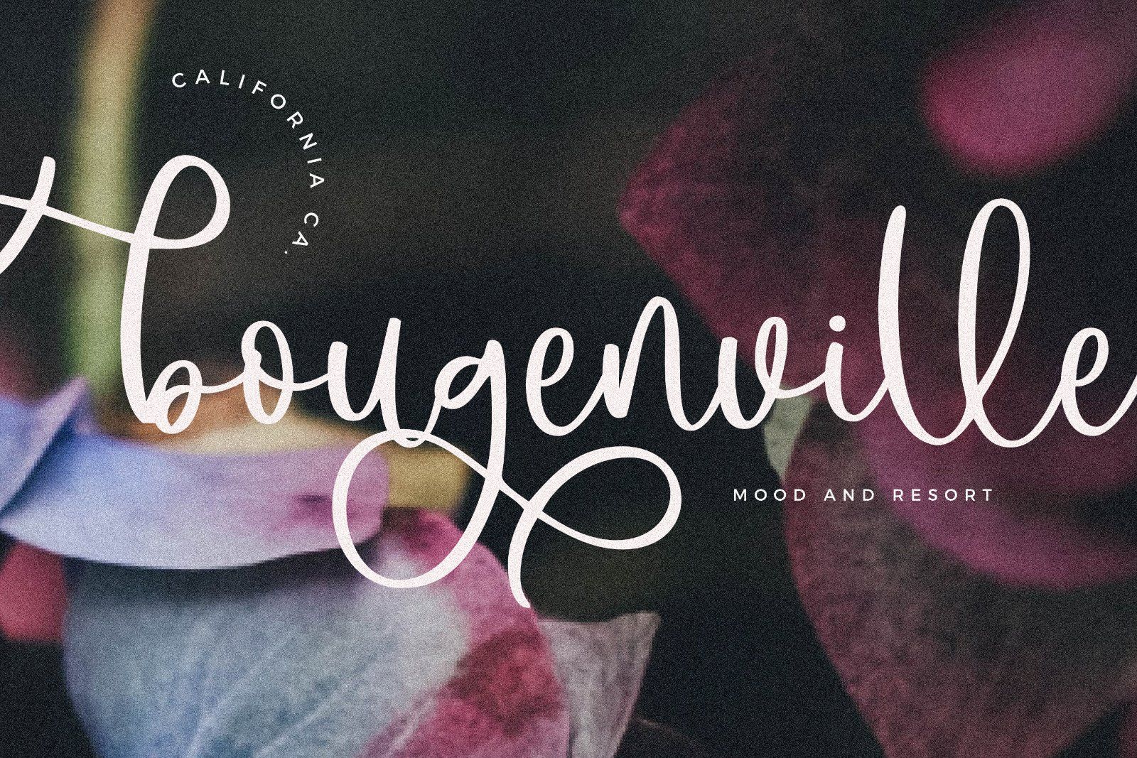 Hello Angela - Beautiful Script Font — image 3