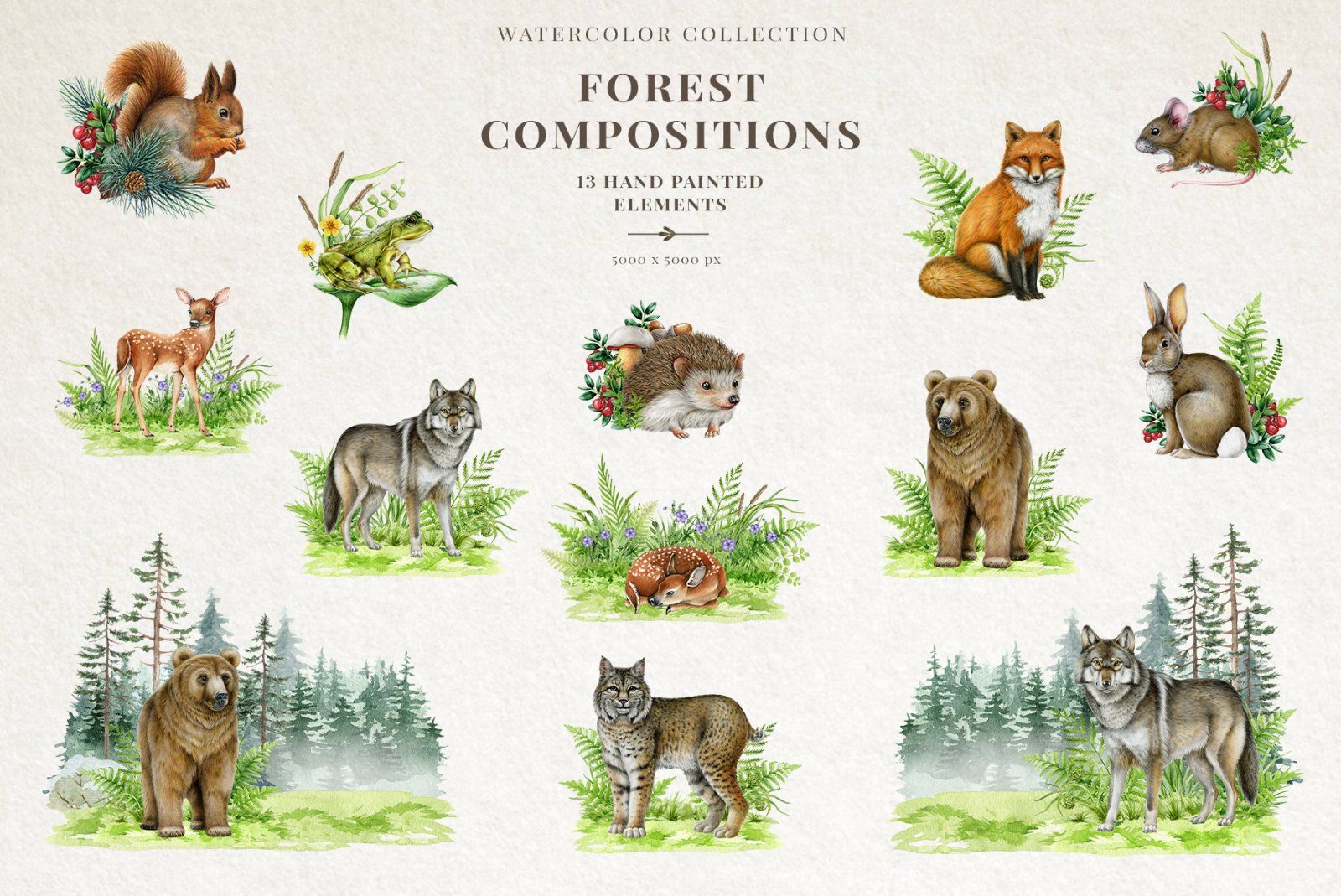 Woodland Animals Watercolor Clipart — image 7