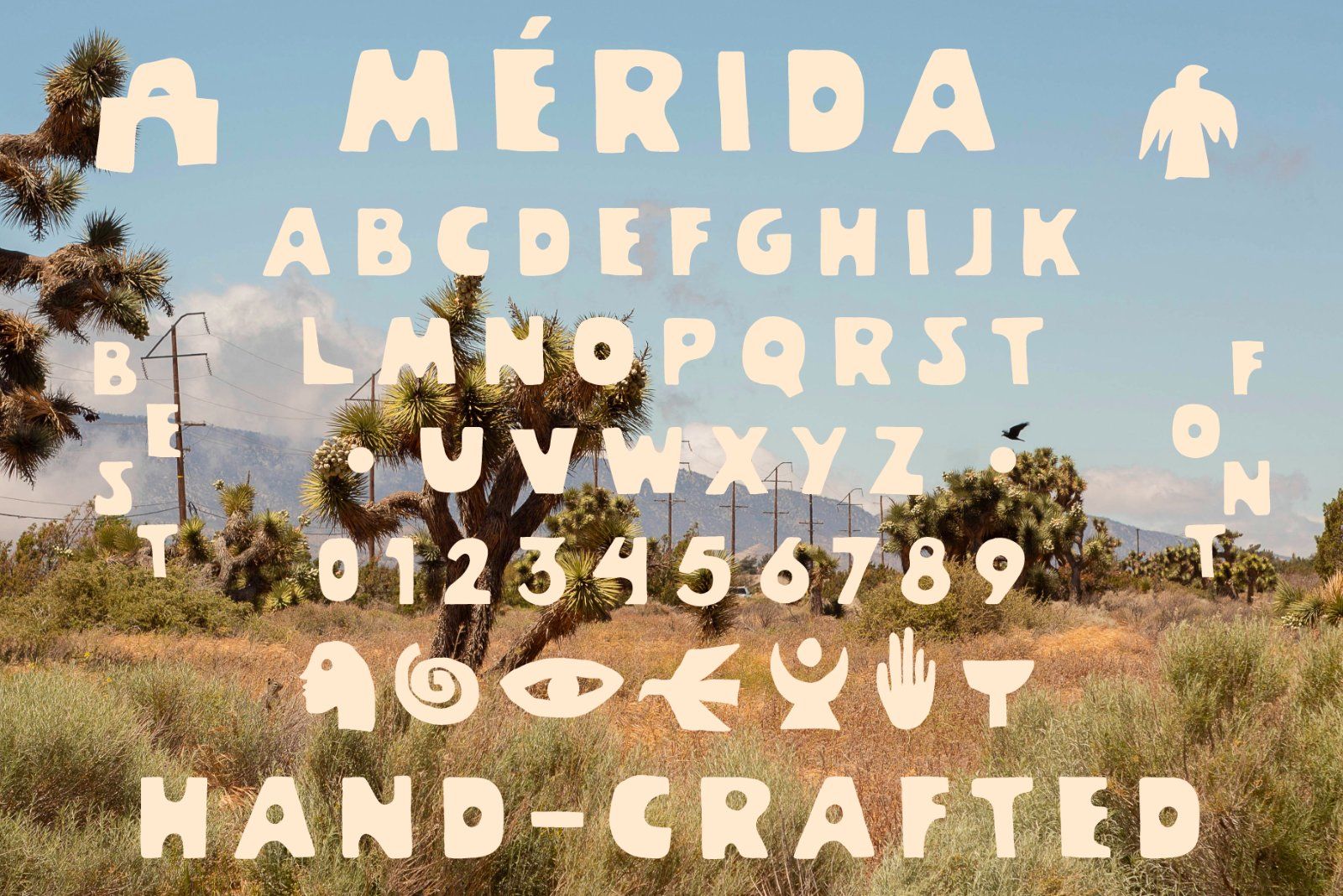 Merida – Handmade Display Typeface — image 8