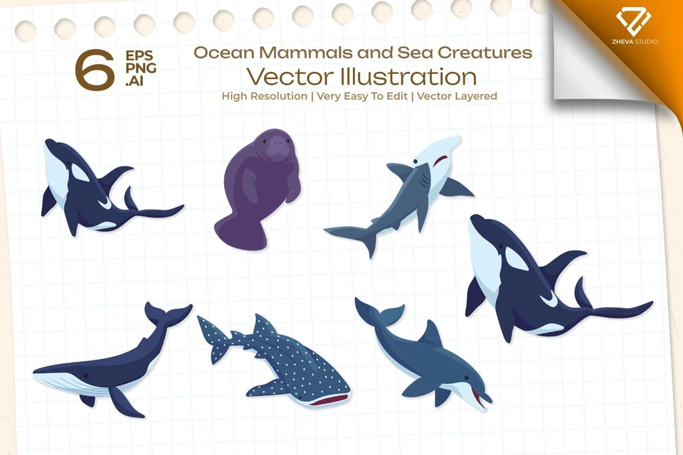 Premium Ocean Mammals and Sea Creatures Vector Illustration – 6 EPS & PNG Files