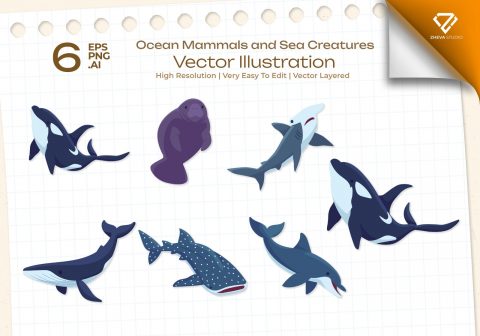 Premium Ocean Mammals and Sea Creatures Vector Illustration – 6 EPS & PNG Files
