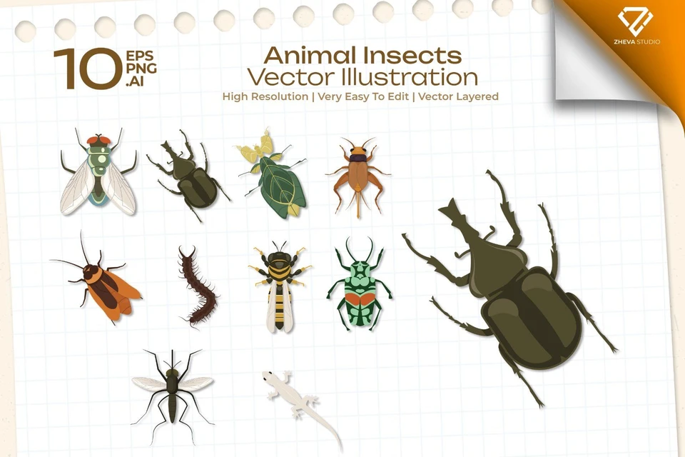 Premium Animal Insects Vector Illustration – 10 EPS & PNG Files