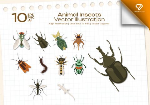 Premium Animal Insects Vector Illustration – 10 EPS & PNG Files