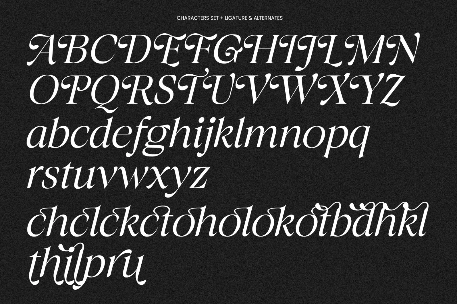 The Taylor Belle | Elegant Feminine Serif Display — image 10